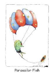 Parasailor Fish card front